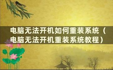 电脑无法开机如何重装系统（电脑无法开机重装系统教程）