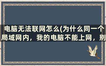 电脑无法联网怎么(为什么同一个局域网内，我的电脑不能上网，别的都可以)