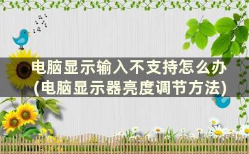 电脑显示输入不支持怎么办(电脑显示器亮度调节方法)