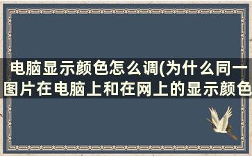 电脑显示颜色怎么调(为什么同一图片在电脑上和在网上的显示颜色不一样呢)