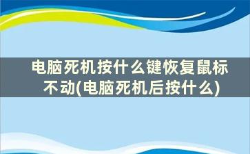 电脑死机按什么键恢复鼠标不动(电脑死机后按什么)