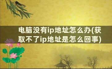 电脑没有ip地址怎么办(获取不了ip地址是怎么回事)