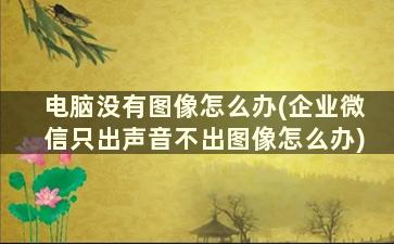 电脑没有图像怎么办(企业微信只出声音不出图像怎么办)