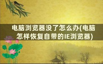 电脑浏览器没了怎么办(电脑怎样恢复自带的IE浏览器)