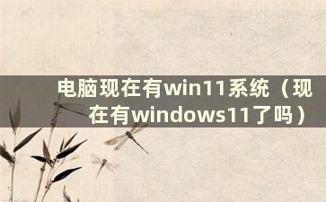 电脑现在有win11系统（现在有windows11了吗）