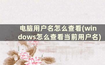 电脑用户名怎么查看(windows怎么查看当前用户名)