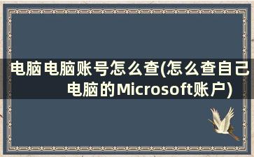 电脑电脑账号怎么查(怎么查自己电脑的Microsoft账户)