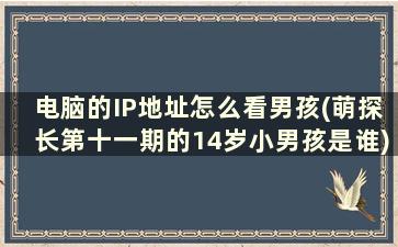 电脑的IP地址怎么看男孩(萌探长第十一期的14岁小男孩是谁)