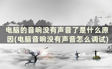 电脑的音响没有声音了是什么原因(电脑音响没有声音怎么调试)