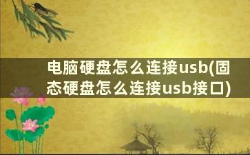 电脑硬盘怎么连接usb(固态硬盘怎么连接usb接口)