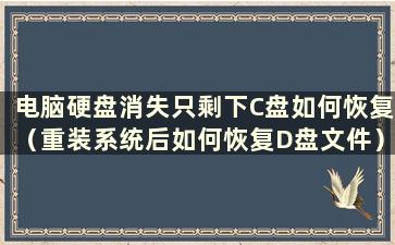 电脑硬盘消失只剩下C盘如何恢复（重装系统后如何恢复D盘文件）