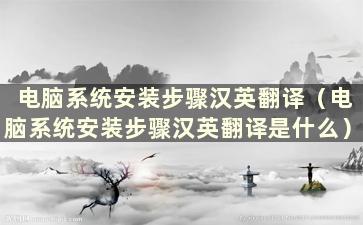 电脑系统安装步骤汉英翻译（电脑系统安装步骤汉英翻译是什么）