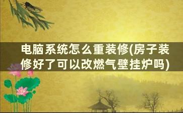 电脑系统怎么重装修(房子装修好了可以改燃气壁挂炉吗)