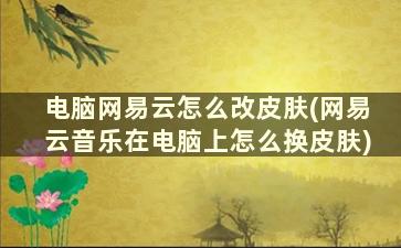 电脑网易云怎么改皮肤(网易云音乐在电脑上怎么换皮肤)