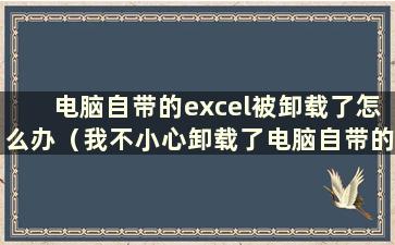 电脑自带的excel被卸载了怎么办（我不小心卸载了电脑自带的excel）