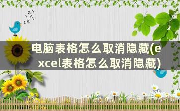 电脑表格怎么取消隐藏(excel表格怎么取消隐藏)