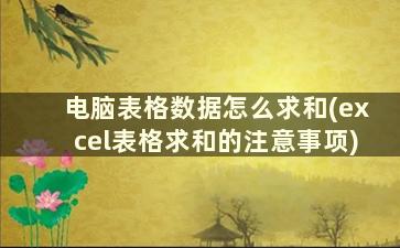 电脑表格数据怎么求和(excel表格求和的注意事项)