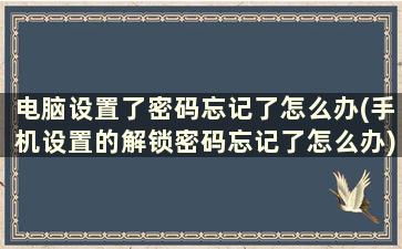 电脑设置了密码忘记了怎么办(手机设置的解锁密码忘记了怎么办)