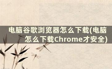 电脑谷歌浏览器怎么下载(电脑怎么下载Chrome才安全)