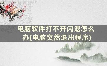 电脑软件打不开闪退怎么办(电脑突然退出程序)