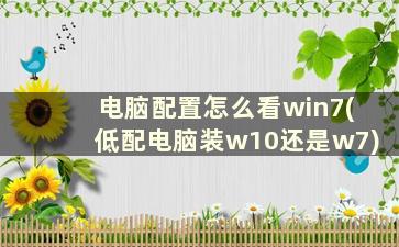 电脑配置怎么看win7(低配电脑装w10还是w7)