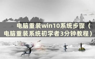 电脑重装win10系统步骤（电脑重装系统初学者3分钟教程）