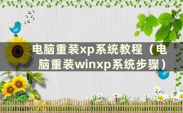 电脑重装xp系统教程（电脑重装winxp系统步骤）