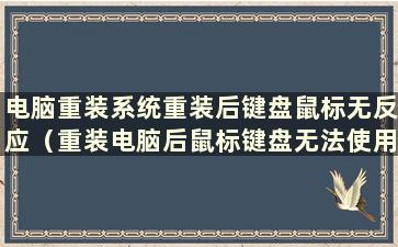 电脑重装系统重装后键盘鼠标无反应（重装电脑后鼠标键盘无法使用怎么办）