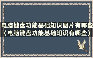 电脑键盘功能基础知识图片有哪些（电脑键盘功能基础知识有哪些）