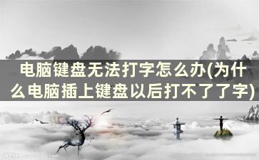 电脑键盘无法打字怎么办(为什么电脑插上键盘以后打不了了字)