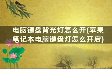 电脑键盘背光灯怎么开(苹果笔记本电脑键盘灯怎么开启)