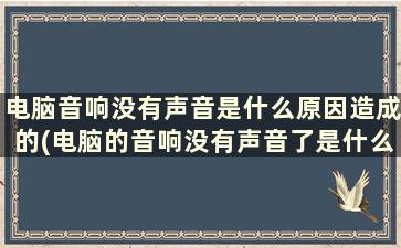 电脑音响没有声音是什么原因造成的(电脑的音响没有声音了是什么原因)