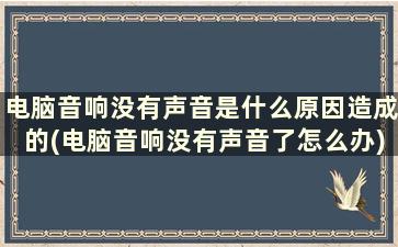 电脑音响没有声音是什么原因造成的(电脑音响没有声音了怎么办)