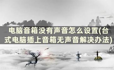 电脑音箱没有声音怎么设置(台式电脑插上音箱无声音解决办法)