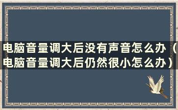 电脑音量调大后没有声音怎么办（电脑音量调大后仍然很小怎么办）