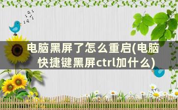 电脑黑屏了怎么重启(电脑快捷键黑屏ctrl加什么)