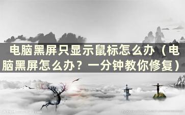 电脑黑屏只显示鼠标怎么办（电脑黑屏怎么办？一分钟教你修复）