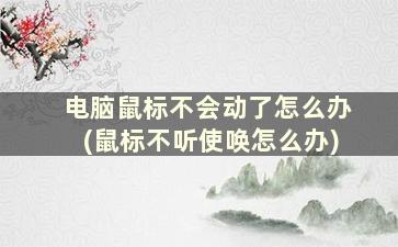 电脑鼠标不会动了怎么办(鼠标不听使唤怎么办)