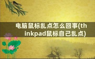 电脑鼠标乱点怎么回事(thinkpad鼠标自己乱点)