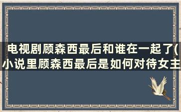 电视剧顾森西最后和谁在一起了(小说里顾森西最后是如何对待女主的)