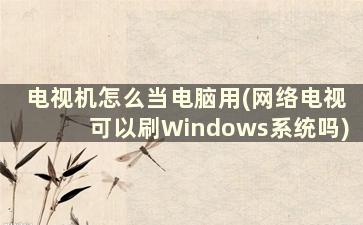 电视机怎么当电脑用(网络电视可以刷Windows系统吗)