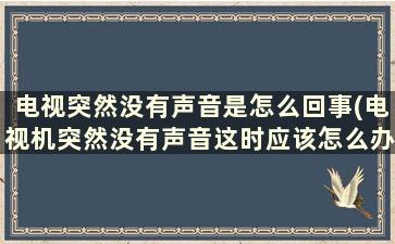 电视突然没有声音是怎么回事(电视机突然没有声音这时应该怎么办)