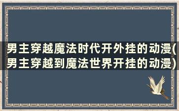 男主穿越魔法时代开外挂的动漫(男主穿越到魔法世界开挂的动漫)