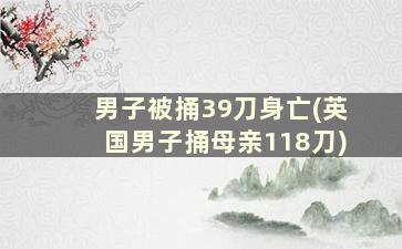 男子被捅39刀身亡(英国男子捅母亲118刀)