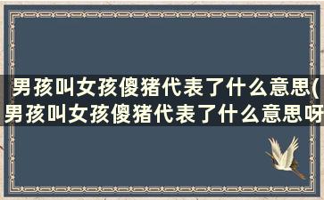 男孩叫女孩傻猪代表了什么意思(男孩叫女孩傻猪代表了什么意思呀)