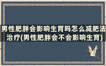 男性肥胖会影响生育吗怎么减肥法治疗(男性肥胖会不会影响生育)