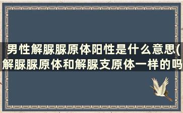 男性解脲脲原体阳性是什么意思(解脲脲原体和解脲支原体一样的吗)