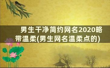 男生干净简约网名2020略带温柔(男生网名温柔点的)