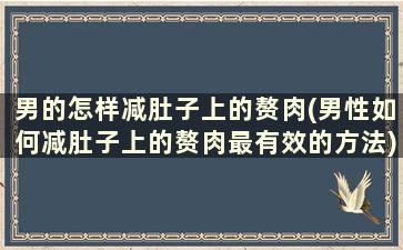 男的怎样减肚子上的赘肉(男性如何减肚子上的赘肉最有效的方法)