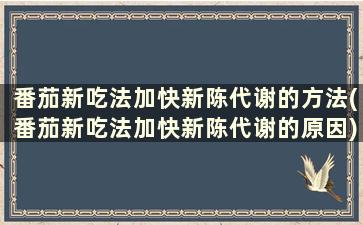 番茄新吃法加快新陈代谢的方法(番茄新吃法加快新陈代谢的原因)